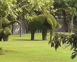 Topiary elephants at Bang Pa-In Royal Palace, Thailand
