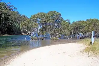A lagoon at the head of Towlers Bay
