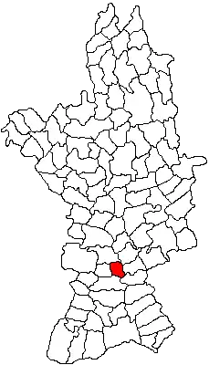 Location in Olt County