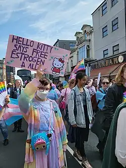 A Swansea Pride attendee holds a sign while marching in the parade. The sign reads "Hello Kitty says free estrogen 4 all"