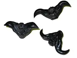 Trapa natans var bispinosa, 2-horned fruit