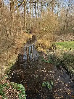 Treba in Treuen