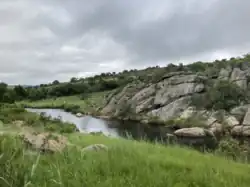 Treur River in midsummer