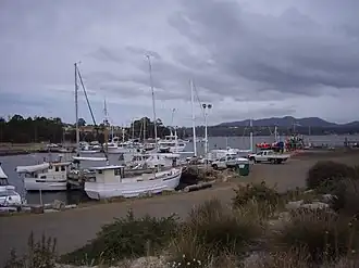 Triabunna with The Three Thumbs in the background