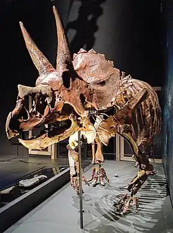 Dirk the Triceratops