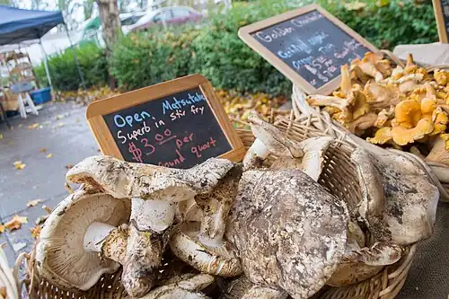Matsutakes for sale