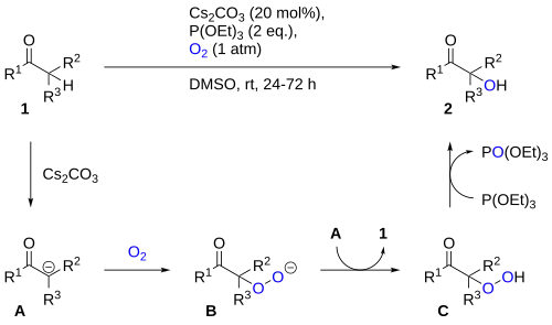 Reaction scheme and proposed mechanism for carbonyl α-hydroxylation using oxygen and triethyl phosphite.