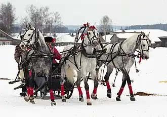 A Troika arrangement pulling a Russian sleigh