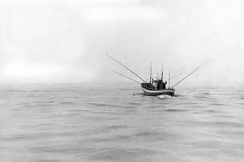 Fishing vessel trolling for tuna in the Atlantic