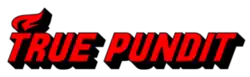 True Pundit logo