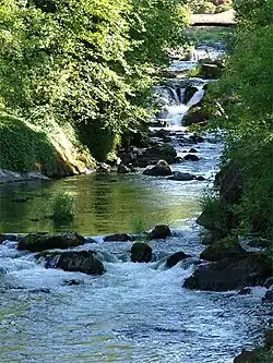 Tumwater Falls of the Deschutes River, 2005