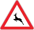 Be carefull for deer