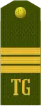 Seržant (Turkmen Ground Forces)[114]