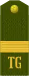 Uly seržant (Turkmen Ground Forces)[34]