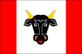 Flag of Turovice