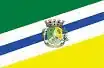 Flag of Turuçu