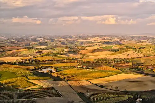 Countryside around Montalcino