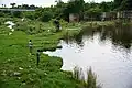 People fishing downstream