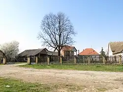 Street of Ušće, Obrenovac