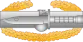 Master Combat Action Badge