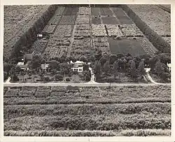 U.S. Sugar Plant Field Station (USDA Sugarcane Field Station), 1940, Canal Point, Florida.