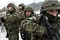 Georgian Land Forces soldiers, which used MARPAT as standard-issue until 2014