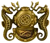 Diving officer badge