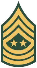 1979–1994 for Army Green "Class A" service uniform