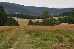 Meadows at Hraničky