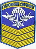 Sleeve patch for chief sergeant of the Airmobile Forces