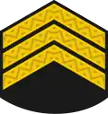 Головний старшина Holovnyy starshyna (Ukrainian Navy)[6]