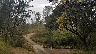 Undullah Road, 2023
