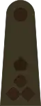 Brigadier