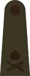 Lieutenant-general