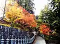 Path leading to the temple in Autumn