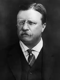 Former President Theodore Roosevelt of New York (not nominated)