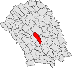 Location in Botoșani County