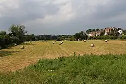 A harvested field with hay bales and a small housing terrace on the right