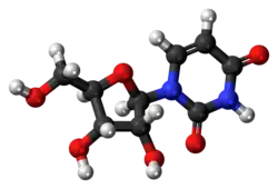 Ball-and-stick model of the uridine molecule