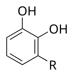 Urushiols, the active agent in poison ivy (R = (CH2)14CH3, (CH2)7CH=CHCH2CH=CHCH2CH=CH2, and others)