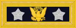 An insignia of a grey star, and eagle, and another grey star