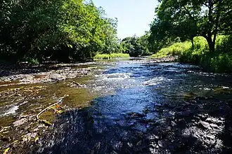 Utchee Creek, 2021
