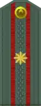 Mayor (Uzbek Ground Forces)[96]