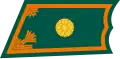 Second Lieutenant