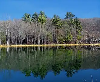 Scenery