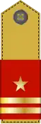 Lieutenant Colonel
