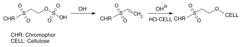 Reaction of reactive dyes with vinyl sulfonic reactive anchors during the dyeing process