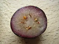 A cut blueberry showing how, having been frozen and then thawed, the anthocyanins in the pericarp can run into the flesh