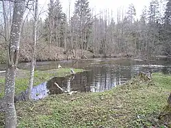 The Valdayka River in Valdaysky District