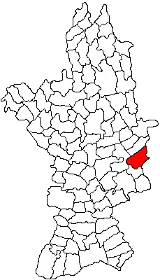 Location in Olt County